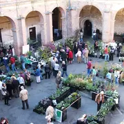 34ème édition Varietas Florum, vente de plantes