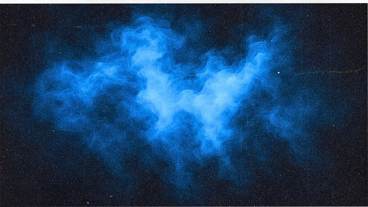 Blue N&oslash;ise Party
