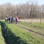 36ème Randonnée pédestre