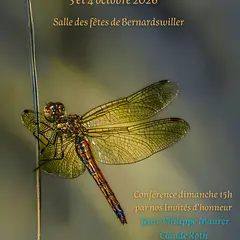 Exposition de l'association Batsch'Photos  
