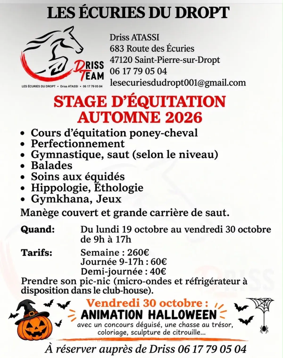 Stage d’automne 