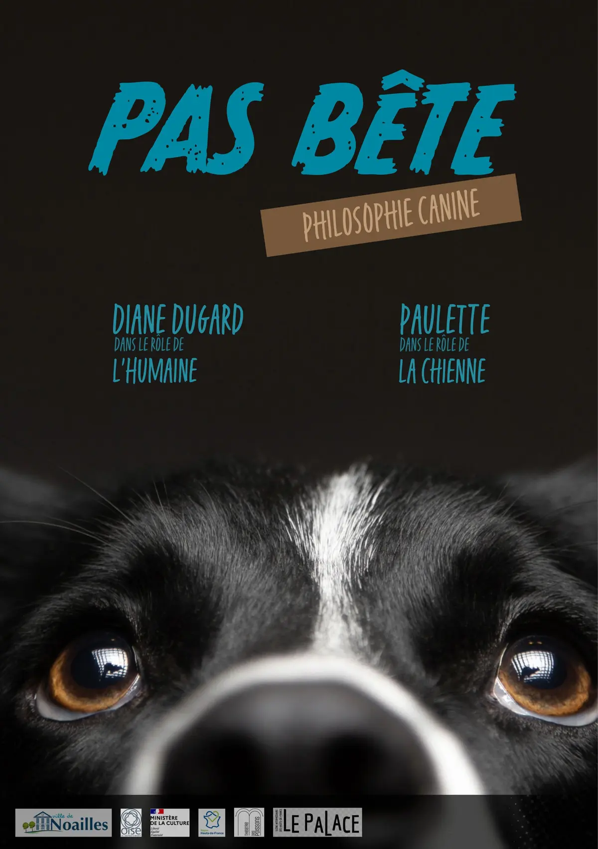 Pas Bête