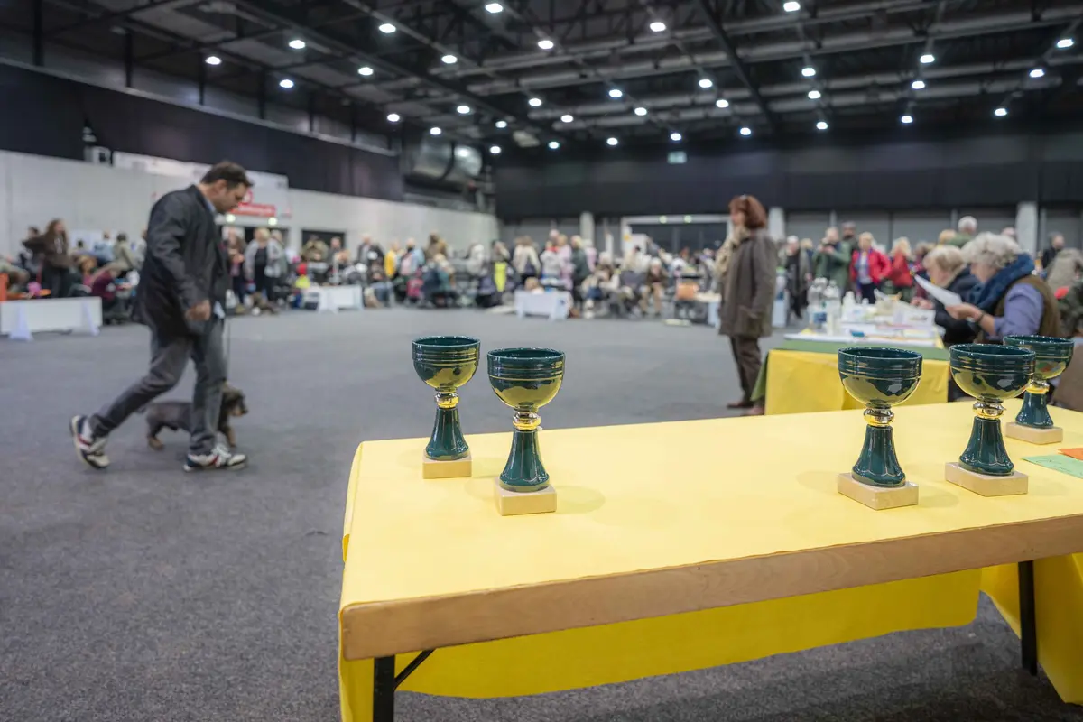 38e et 39e Expositions internationales de chiens de race à Offenburg 2026