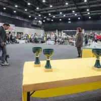 38e et 39e Expositions internationales de chiens de race à Offenburg 2026 DR