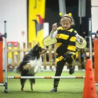 38e et 39e Expositions internationales de chiens de race à Offenburg 2026 DR