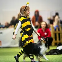 38e et 39e Expositions internationales de chiens de race à Offenburg 2026 DR