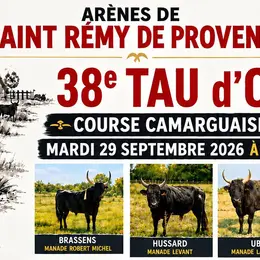 38e Tau d'Or à Saint-Rémy-de-Provence