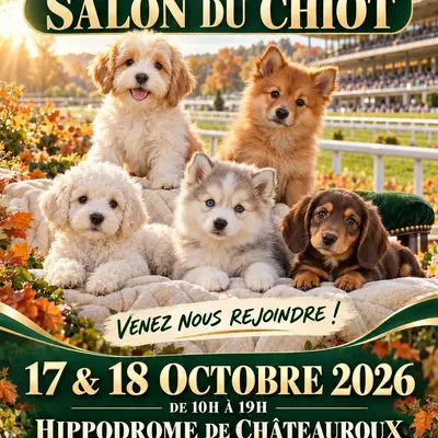 Salon du chiot et du chaton Châteauroux