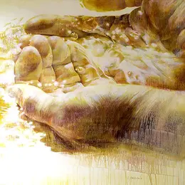 Exposition des peintures de Diane Garcès de Marcilla