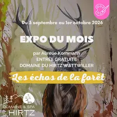 Les échos de la forêt par Aurélie Kornmann
