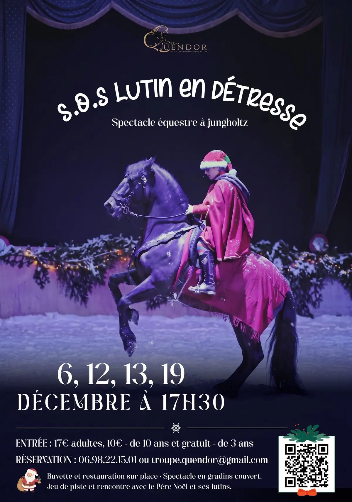 SOS lutin en détresse, conte équestre de Noël