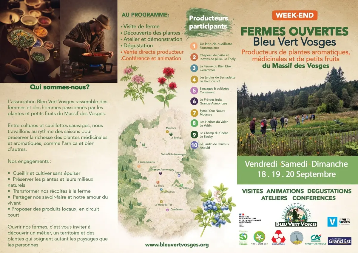 Les petites bébettes du jardin d’chez « Sauvages » 