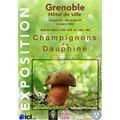 Grande exposition mycologique : Champignons du Dauphin&eacute;