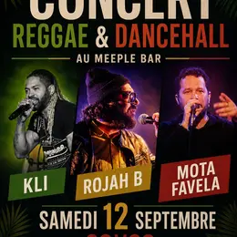 Concert Reggae & Dancehall au Meeple Bar