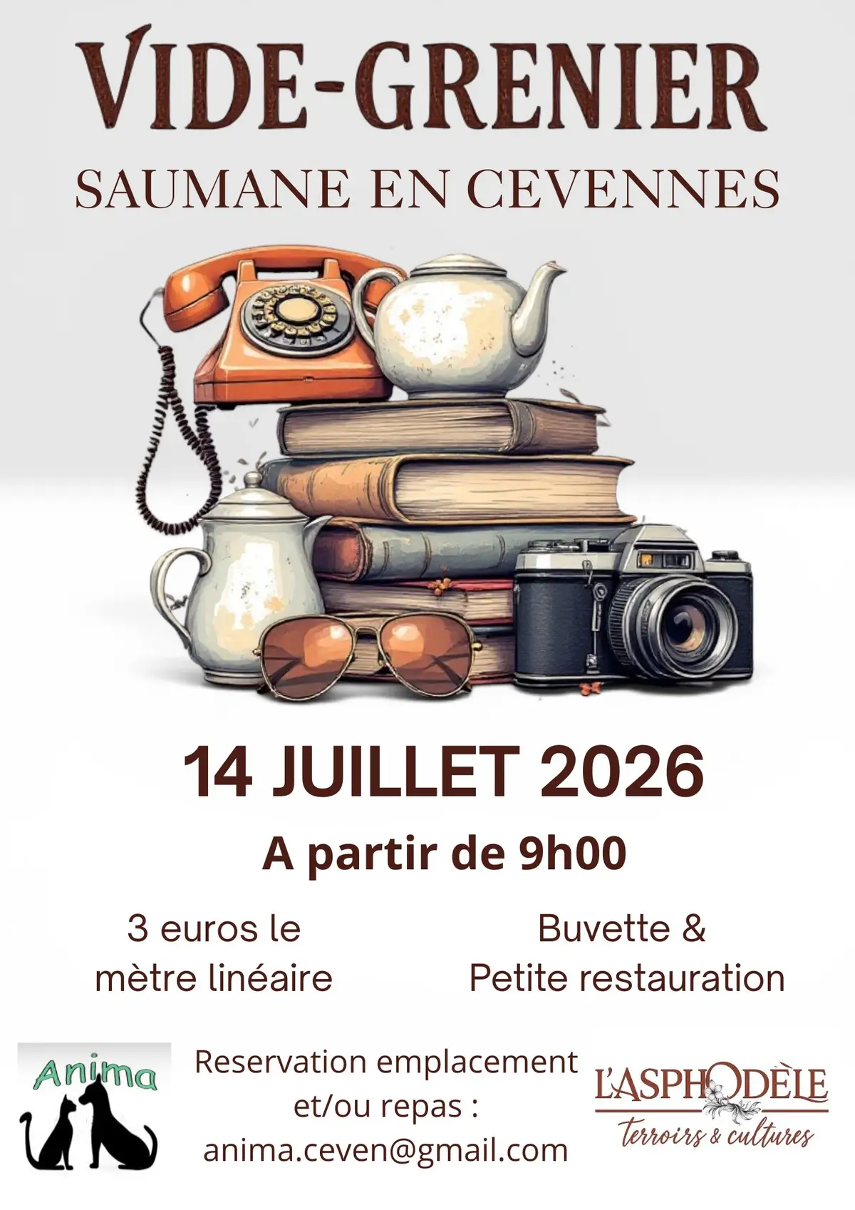 vide grenier