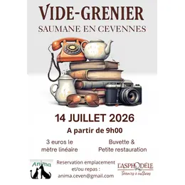 vide grenier