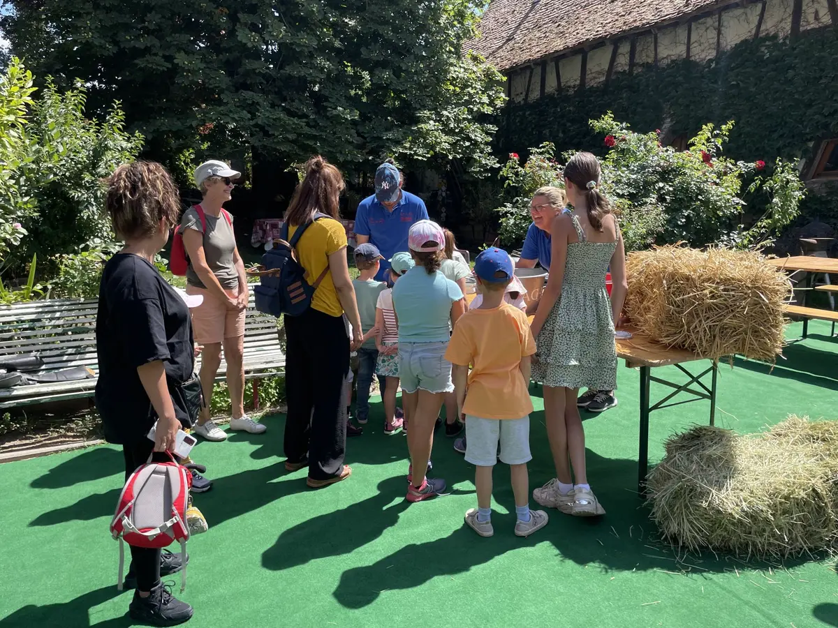Cheval Mon Ami : Lâcher les chevaux !