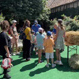Cheval Mon Ami : Lâcher les chevaux !