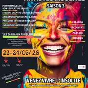 3ème édition Artistes Insolites