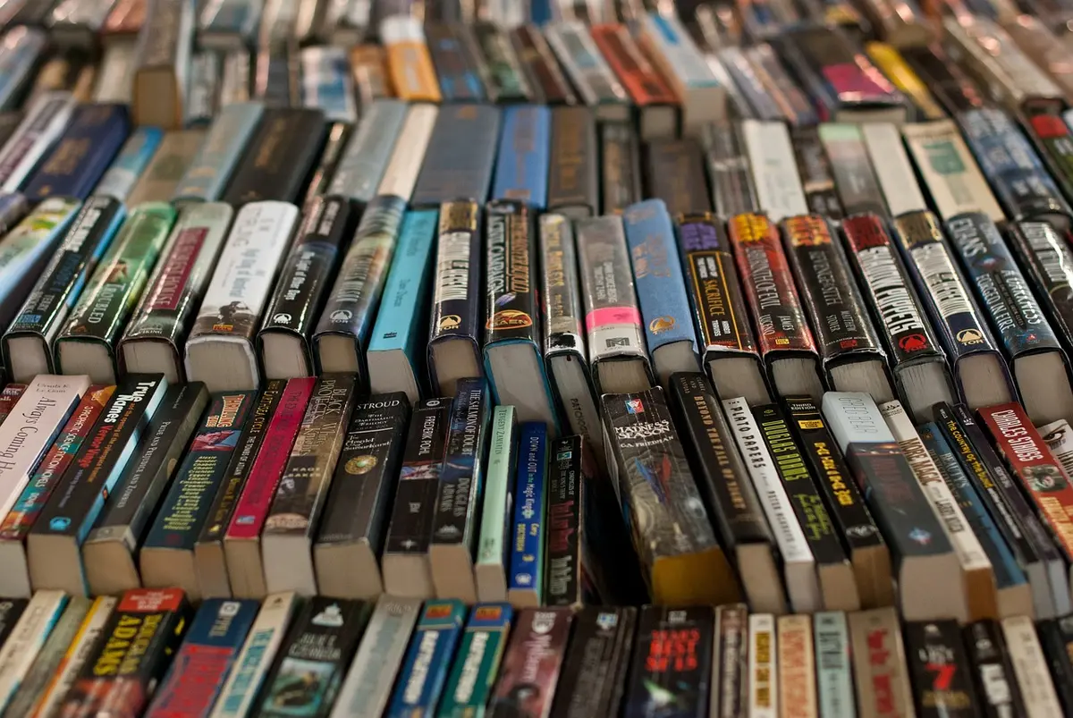 3ème Salon du livre ancien et d'occasion à le Bény-Bocage.