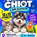 Salon du chiot , chaton et oiseaux Montpellier 