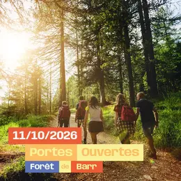 Balade commentée dans la forêt de Barr