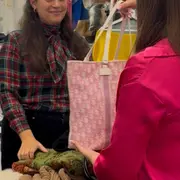 🛍️ 4 adresses de seconde main à Mulhouse pour shopper autrement