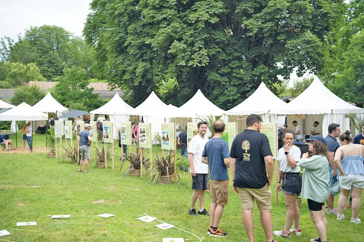 4 bons plans en famille en juin : la s&eacute;lection du JDS !