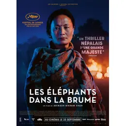 Les Elephants dans la brume