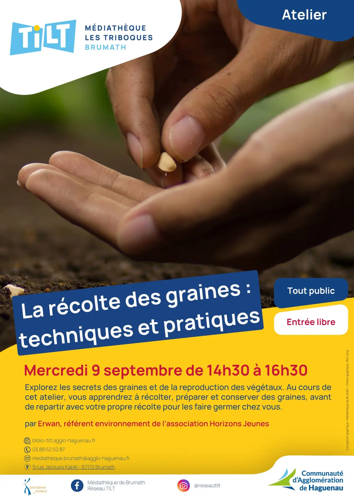 La récolte des graines : techniques et pratiques