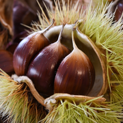 40ème Fête de la châtaigne d'Éguzon