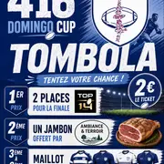 416 Domingo Cup