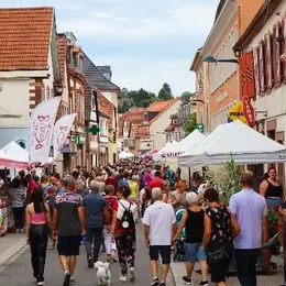 Festival de l'Artisanat : le savoir-faire à l'honneur à Niederbronn-les-Bains