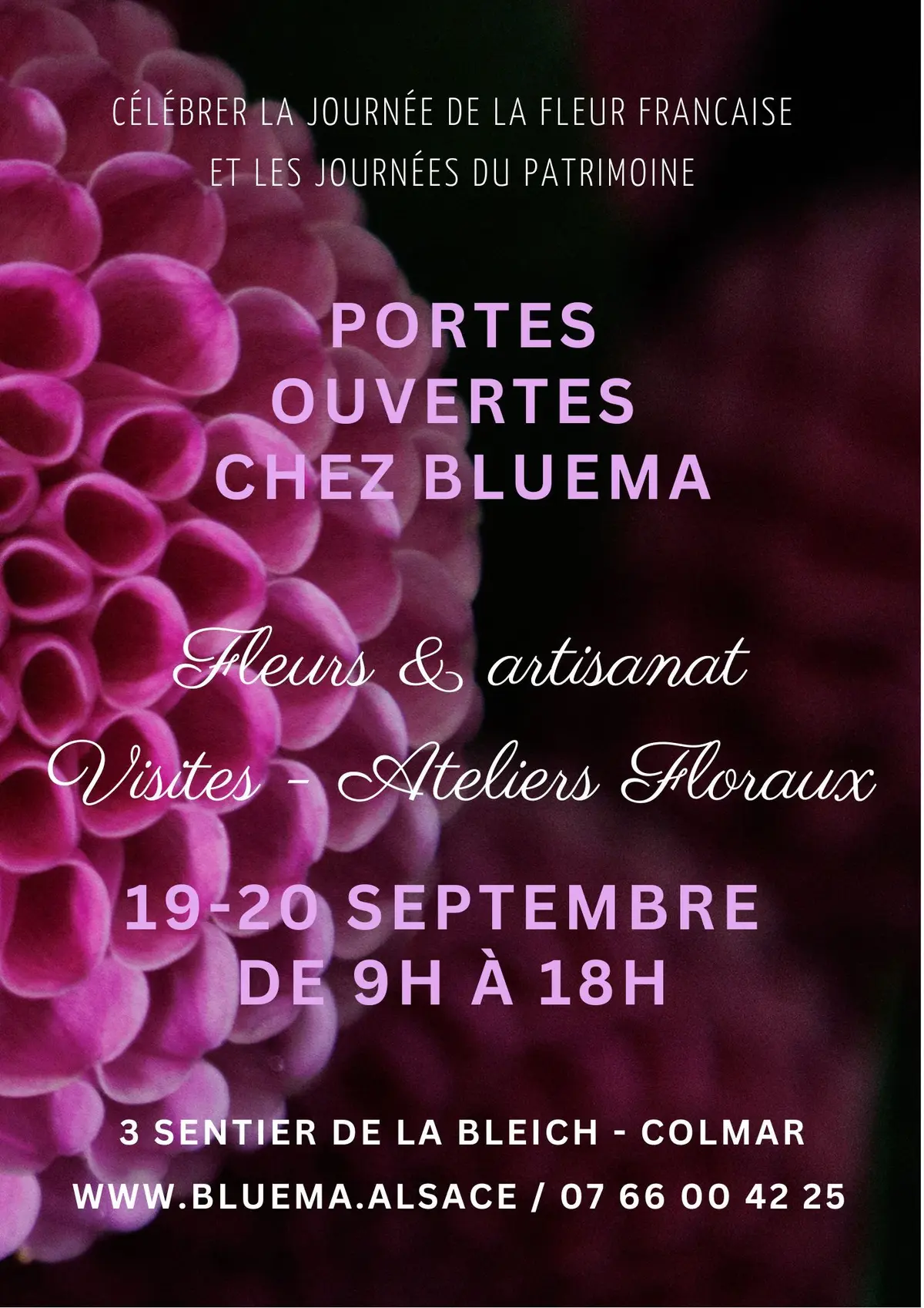 Portes-ouvertes à la ferme florale Bluema