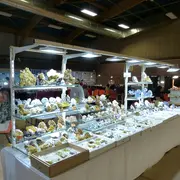 42ème Bourse aux Minéraux, Fossiles et pierres taillées