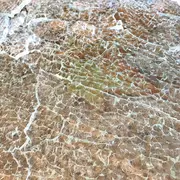 42ème salon de printemps, Accordages, Nadine Lahoz-Quilez