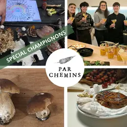 Champignons sauvages en forêt : journée immersive