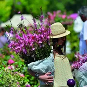 43ème Marché aux fleurs
