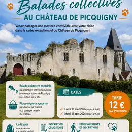 Balades éducatives et pique-nique au château de Picquigny