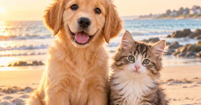 Salon du chiot et du chaton Pornichet
