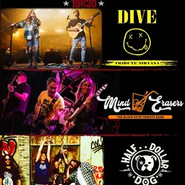Nirvana e Black Keys en Concert