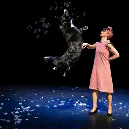 Poil de la bête