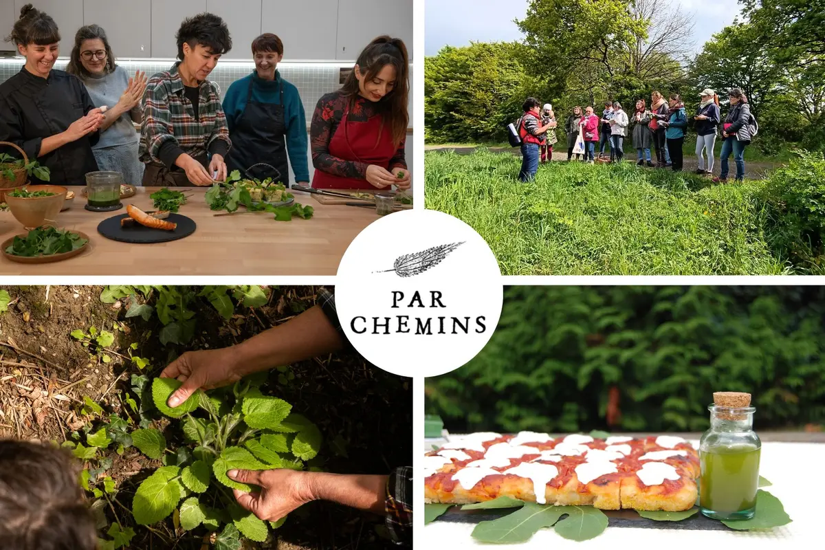 Journée immersive : gastronomie des plantes sauvages comestibles