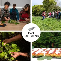 Journée immersive : gastronomie des plantes sauvages comestibles