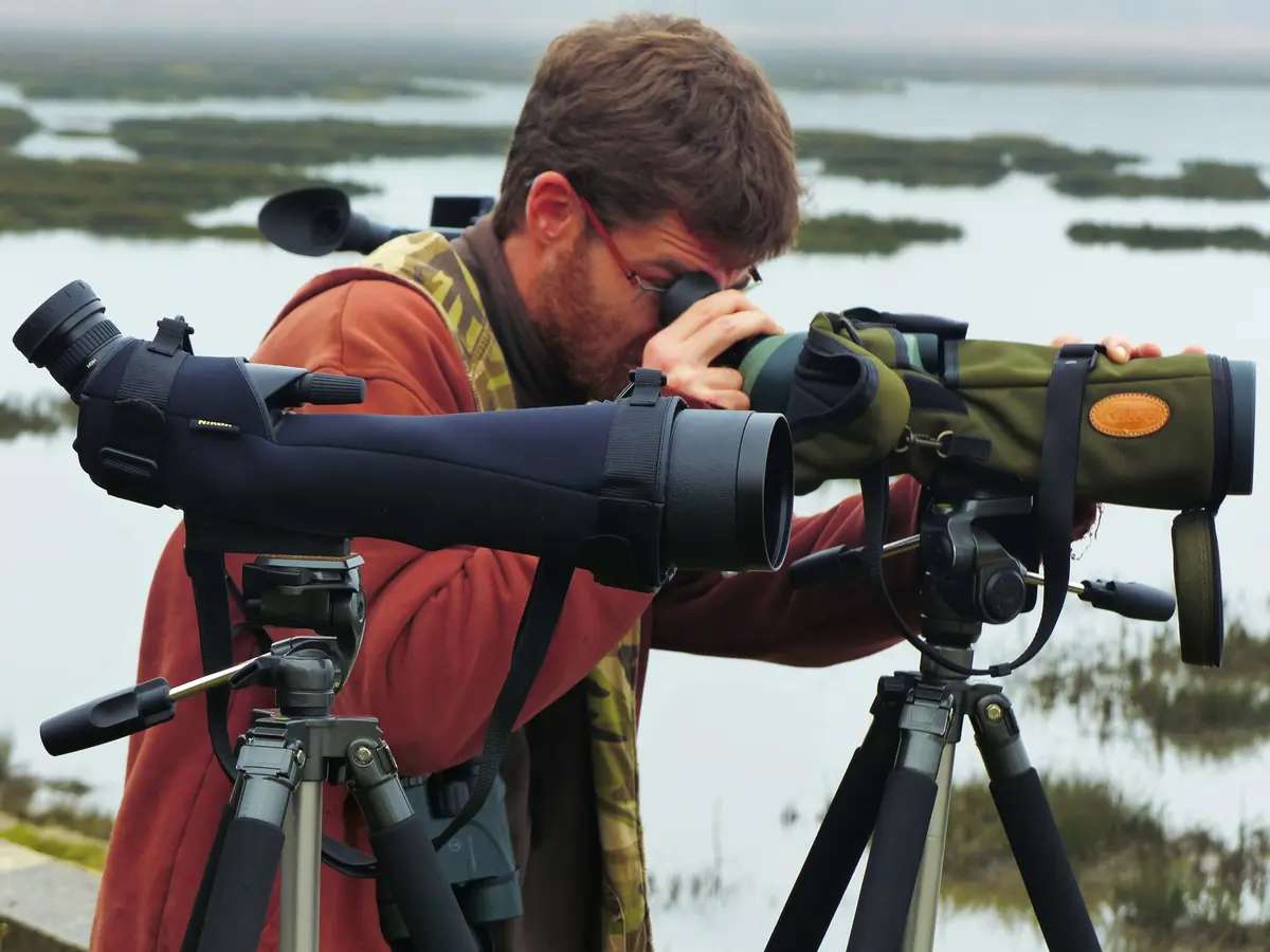 48h nature - L'odyssée des oiseaux migrateurs