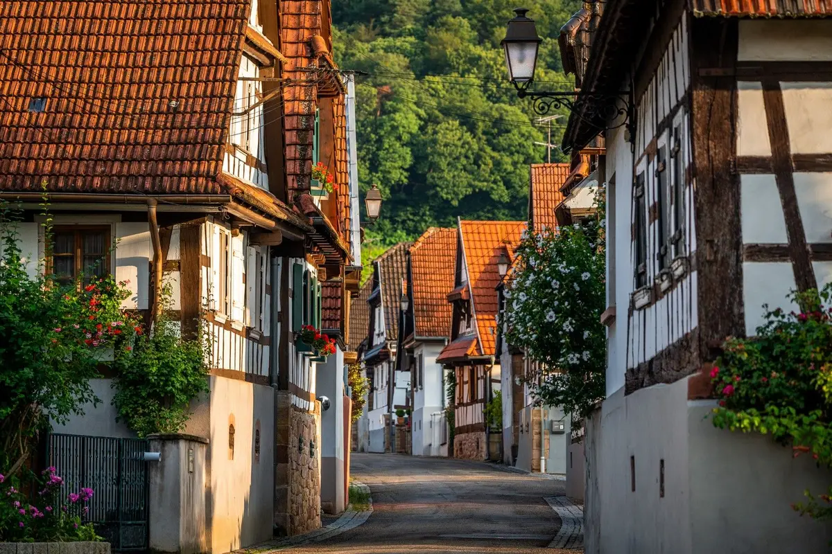 Vignobles en Scène Alsace : Visite guidée du village, de la cave et dégustation