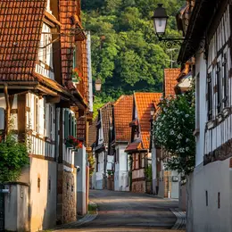Vignobles en Scène Alsace : Visite guidée du village, de la cave et dégustation