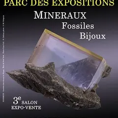 3e SALON Minéraux Fossiles Bijoux de CASTRES (Tarn)