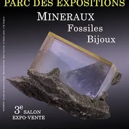 3e SALON Minéraux Fossiles Bijoux de CASTRES (Tarn)