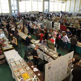 Bourse Internationale d'Insectes de Juvisy